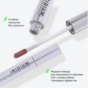 Influence Beauty Глянцевая стойкая помада "Iridium" тон 02 холодный пепельно-розовый NEW 2024