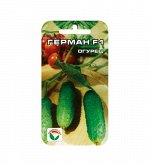 Огурцы семена