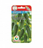 Огурцы семена