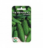 Огурцы семена