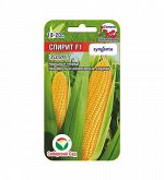 Кукуруза семена