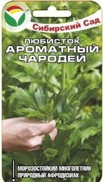 Травы семена