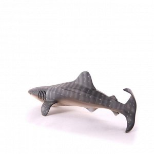 Китовая акула, XL