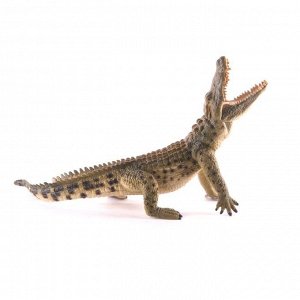 Нильский крокодил (XL)