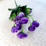 РОЗА ЧАЙНАЯ с зеленью