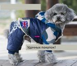 Комбинезон с капюшоном для собаки