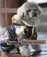 Комбинезон с капюшоном для собаки