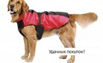 Жилет водонепроницаемый для собаки