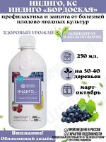 Индиго Бордоская КС&quot; 250мл Октябрина Апрелевна