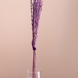 Набор сухоцветов "Райграс", банч 21 шт, длина 60 (+/- 6 см), сиреневый