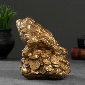 Фигурка гипс «Лягушка на монетах», малая, 14x14x15 см