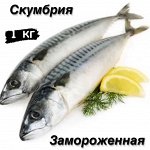 Скумбрия замороженная 1.0 кг. Россия