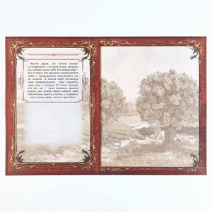 Родословная книга новогодняя «Каждый день» 17x2x23.7 см