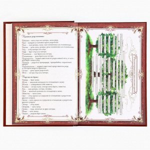 Родословная книга новогодняя «Каждый день» 17x2x23.7 см