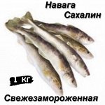 Навага свежезамороженная Сахалин 1.0 кг