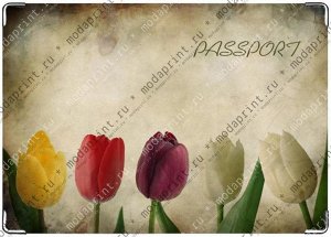 Тюльпаны на паспорт