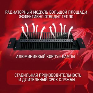 Фитолампа для растений полного спектра