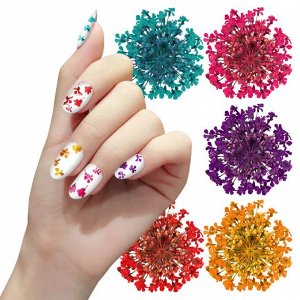 Сухоцветы для дизайна ногтей/маникюра, 1 баночка