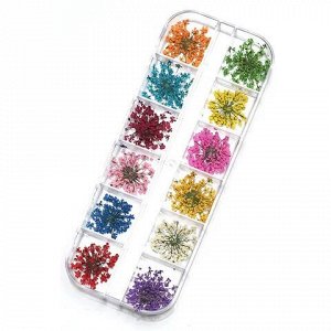Сухоцветы для дизайна ногтей/маникюра, в боксе 12 цветов