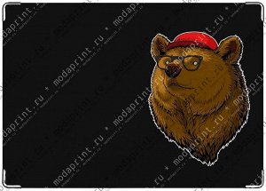Медвед Подходит для стандартного военного билета РФ.