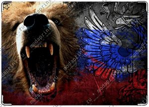 медвед Подходит для стандартного военного билета РФ.