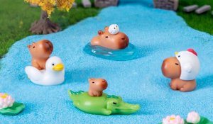 Капибара средняя