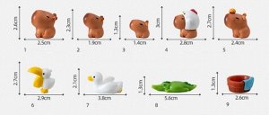 Капибара средняя