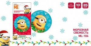 Minion "Морозная свежесть" NEW 12/288