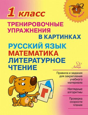 Тренировочные упражнения в картинках:Русский язык,математика,литературное чтени.1 класс