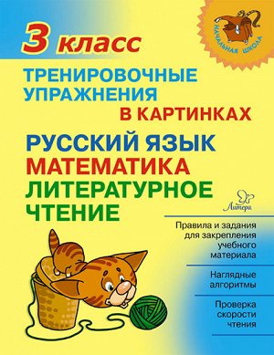 Тренировочные упражнения в картинках:Русский язык,математика,литературное чтени.3 класс