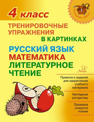 Тренировочные упражнения в картинках:Русский язык,математика,литературное чтени.4 класс