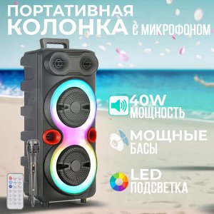 Портативная колонка с микрофоном Karaoke Speaker System NDR-F88