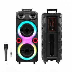 Портативная колонка с микрофоном Karaoke Speaker System NDR-F88