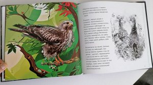 Живая книга. Сказки реки Бикин. Издательство «Дальпресс», Владивосток 2024