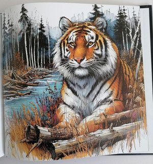 Живая книга. Сказки реки Бикин. Издательство «Дальпресс», Владивосток 2024