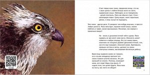 Живая книга. Сказки реки Бикин. Издательство «Дальпресс», Владивосток 2024