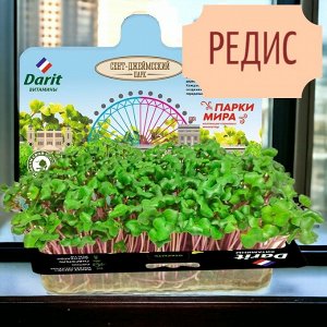Микрозелень редис НАБОР ДЛЯ ВЫРАЩИВАНИЯ 4 гр.