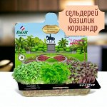 Микрозелень сельдерей / базилик / кориандр НАБОР ДЛЯ ВЫРАЩИВАНИЯ 3 гр.