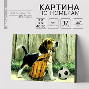 Картина по номерам на холсте с подрамником «Щенок с мячом», 40x30 см