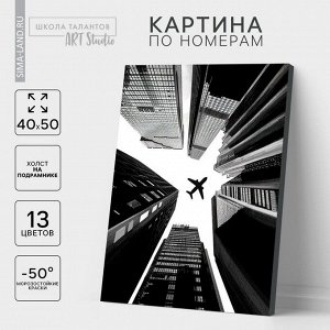 Картина по номерам «Взлёт», на холсте с подрамником, 40 x 50 см