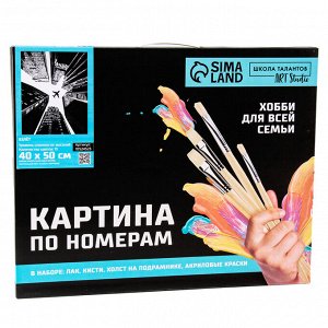 Картина по номерам «Взлёт», на холсте с подрамником, 40 x 50 см