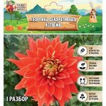 ⚡ Дом, Дача, Сад и Огород — семена и клубни цветов