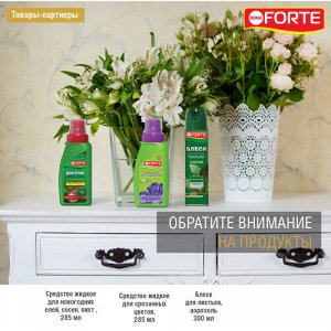 Bona Forte Средство сухое для срезанных цветов, пакет 15 г/