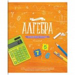 Тетрадь предметная 48л. ArtSpace &quot;Красивые уроки&quot; - Алгебра, ВД-лак