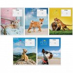 Тетрадь 12л., линия ArtSpace &quot;Питомцы. My pets&quot;