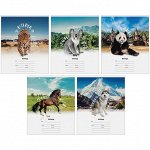 Тетрадь 12л., линия ArtSpace &quot;Природа. Beautiful and Wild&quot;