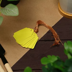 Бирки садовые, для маркировки растений, 4.5x3 см, набор 20 шт., пластик, МИКС, Greengo