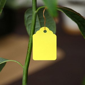 Бирки садовые, для маркировки растений, 4.5x3 см, набор 20 шт., пластик, МИКС, Greengo