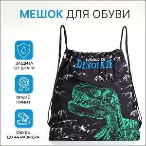 Мешок для обуви на шнурке, с принтом, размер 45x1x34 см, чёрный/белый/зелёный