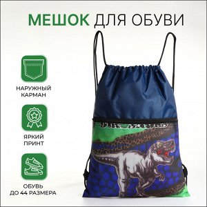 Мешок для обуви на шнурке, с карманом, принтом, размер 45x1x34 см, синий/серый